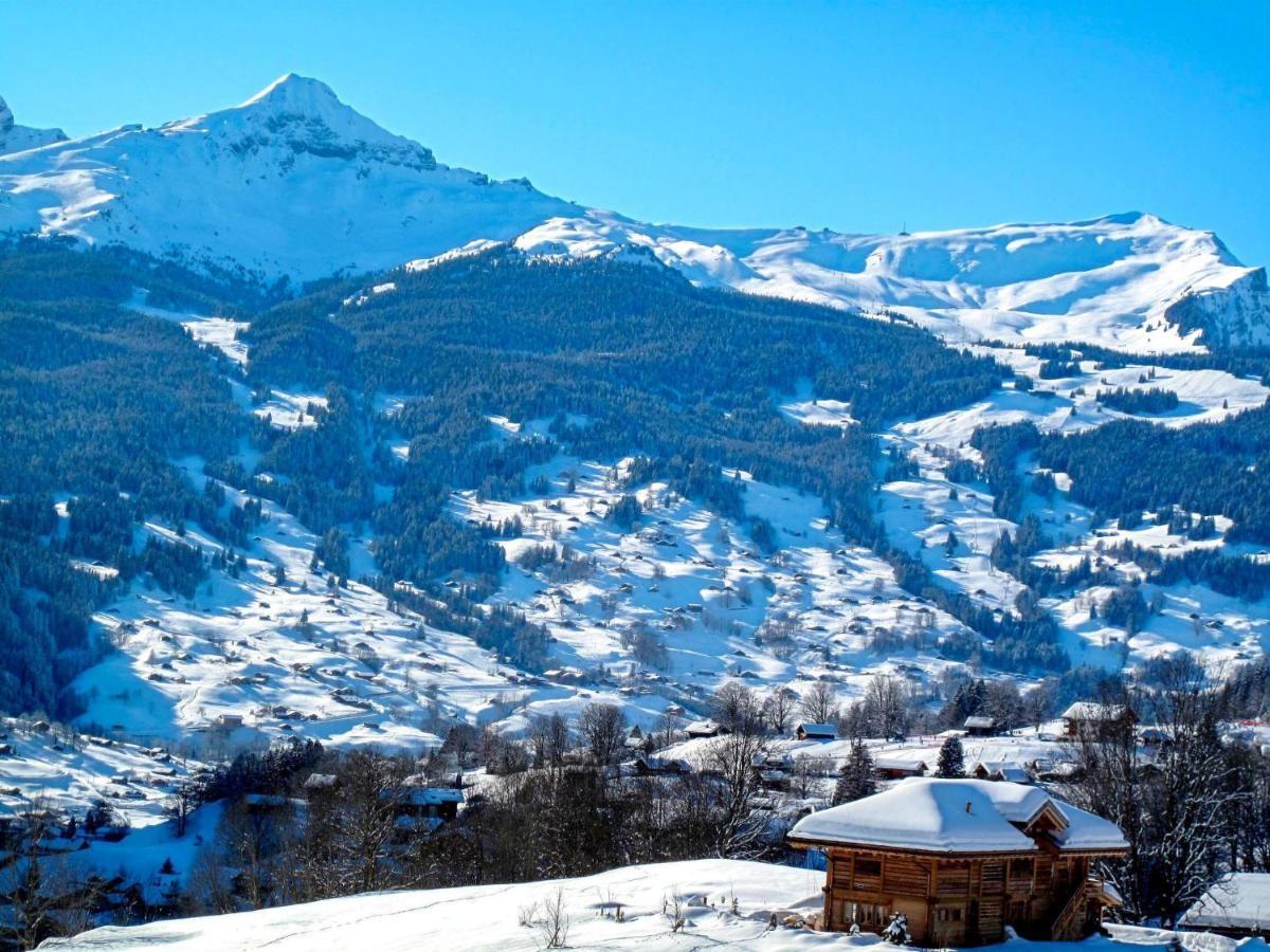 La Muntaniala By Interhome अपार्टमेंट Grindelwald